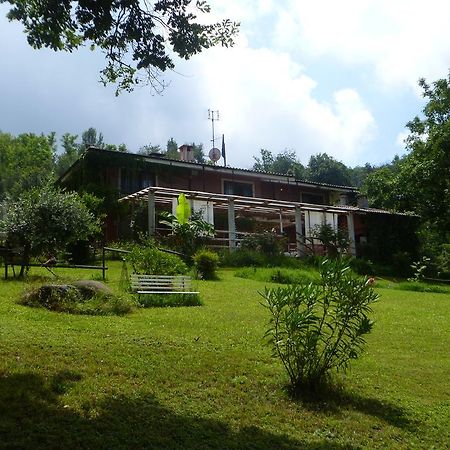 Fattoria Sequoia Bed & Breakfast Castagneto Po Luaran gambar