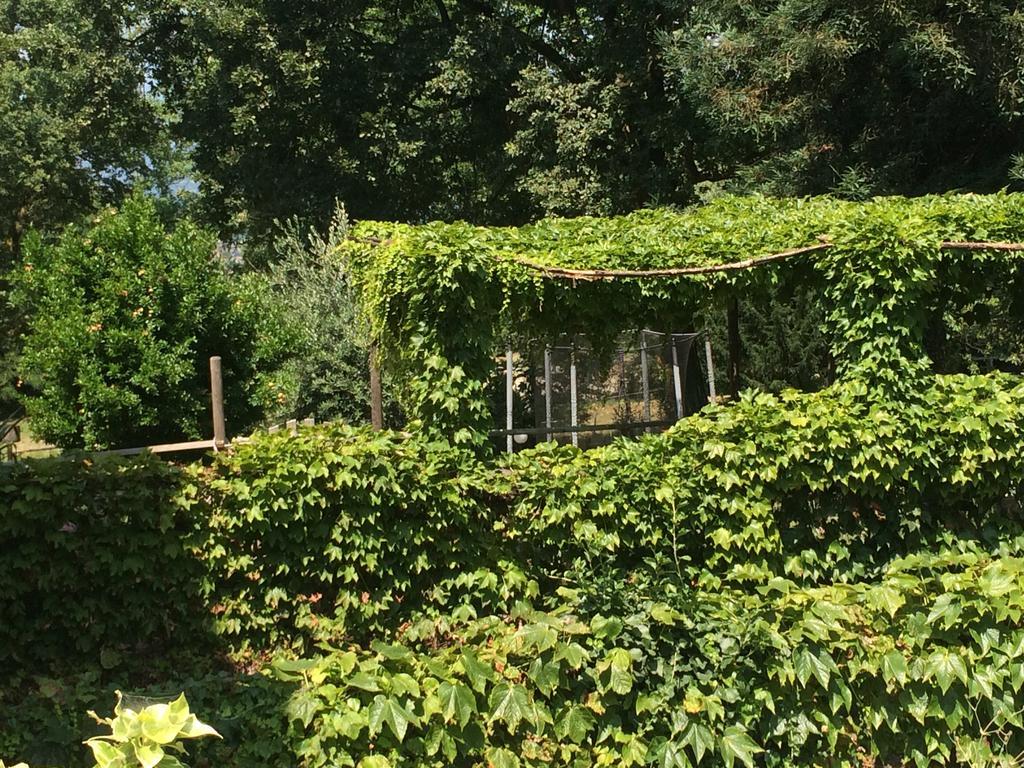 Fattoria Sequoia Bed & Breakfast Castagneto Po Luaran gambar