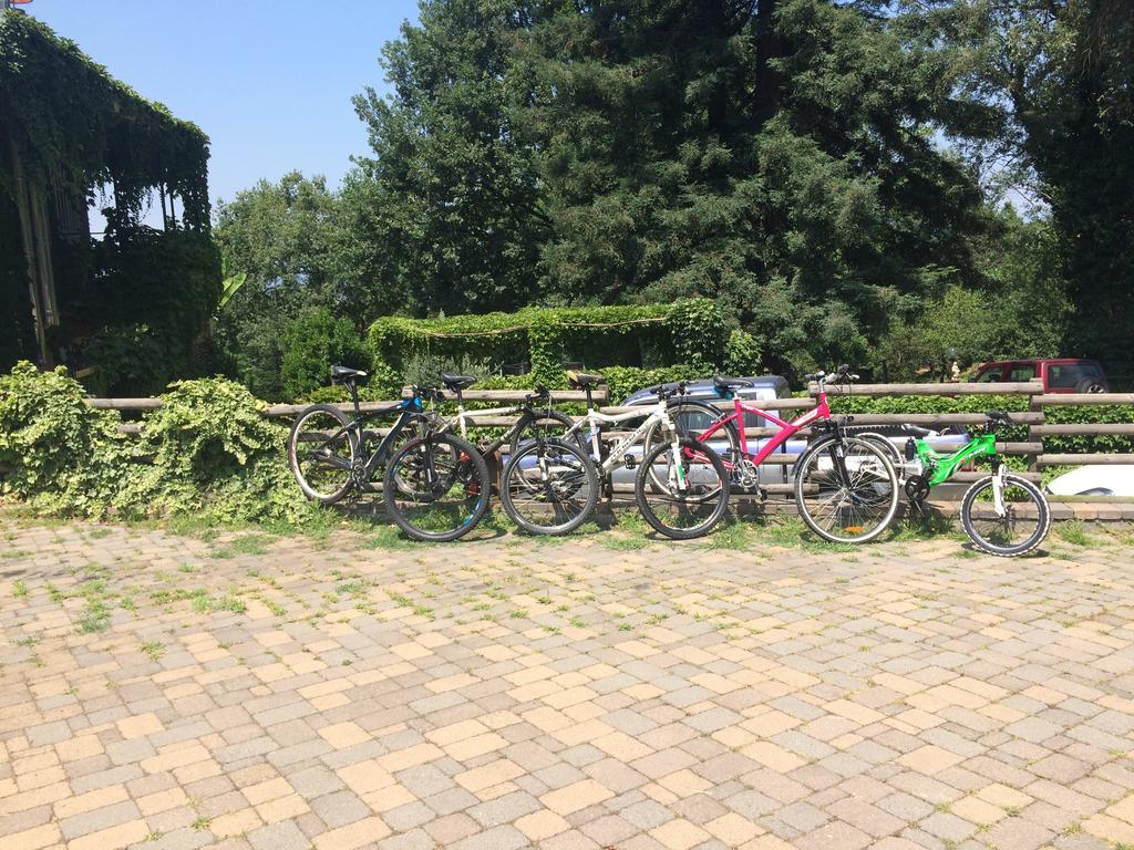 Fattoria Sequoia Bed & Breakfast Castagneto Po Luaran gambar